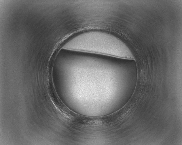 X0000060260492200510281013