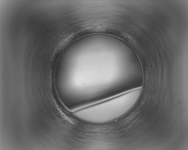 X0000060260493200510281012