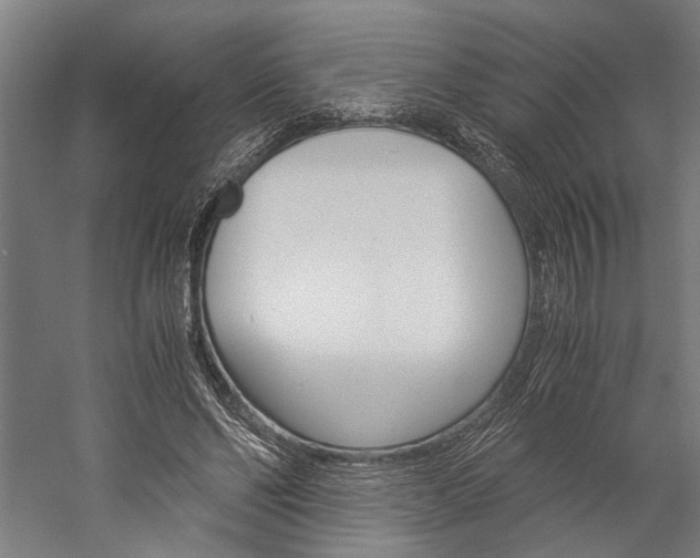 X0000060260494200510281012