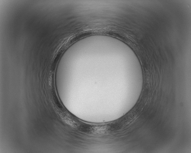 X0000060260495200510281012