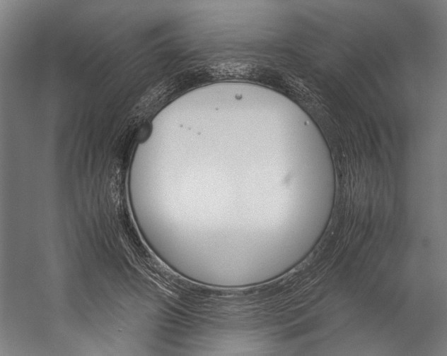 X0000060260498200510281012