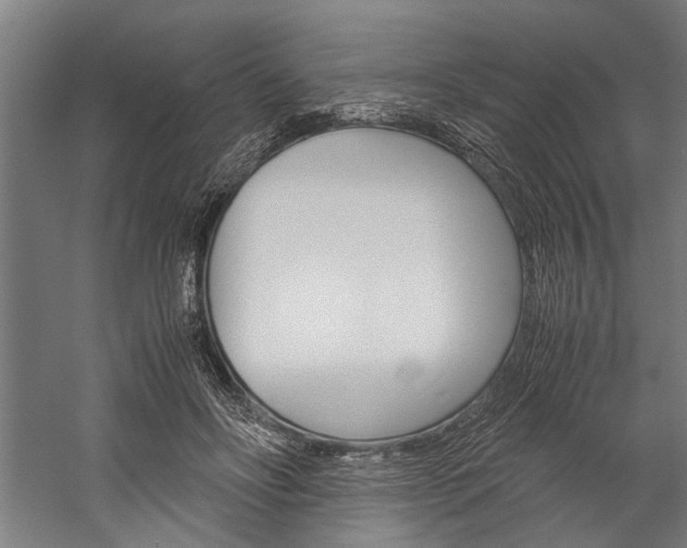X0000060260502200510281012