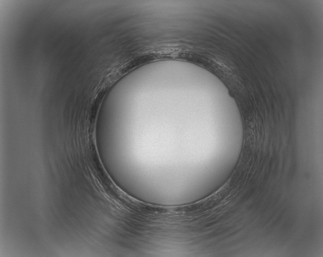 X0000060260504200510281012