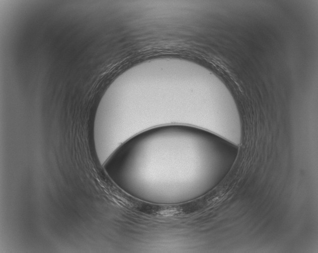 X0000060260505200510281012