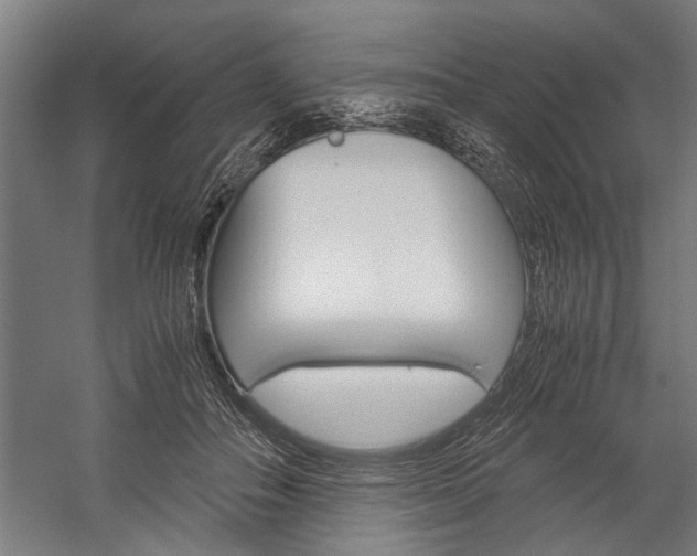X0000060260506200510281012