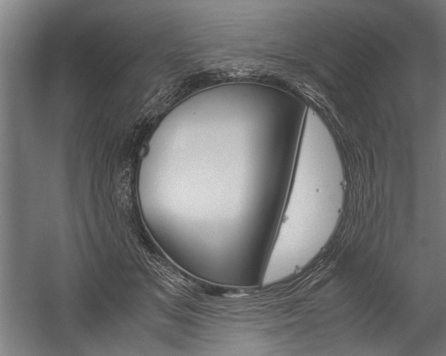 X0000060260509200510281012