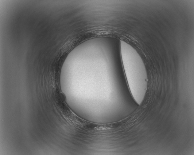 X0000060260512200510281012