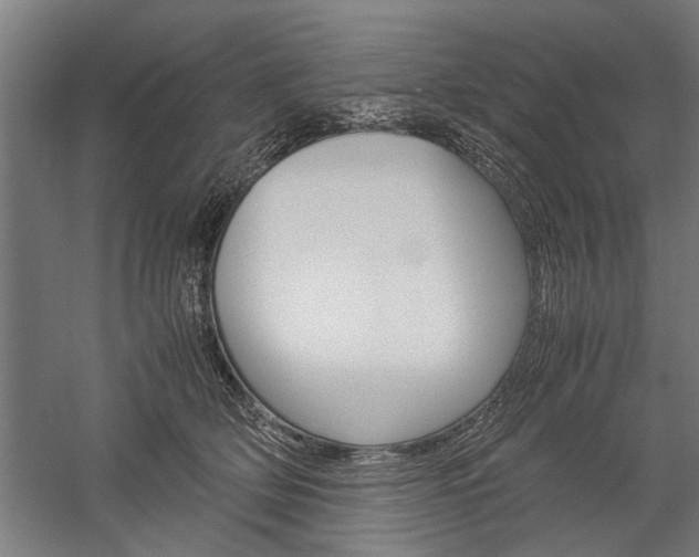 X0000060260514200510281012