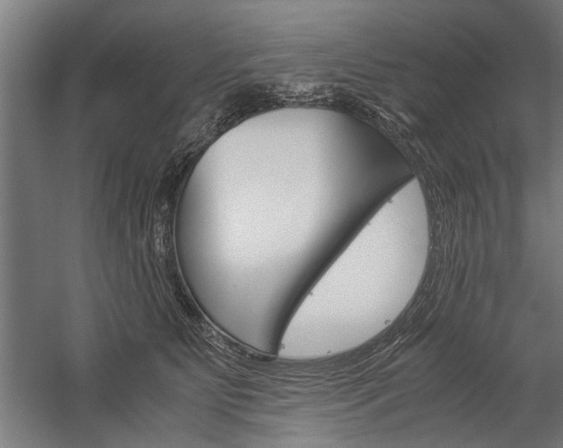 X0000060260515200510281012