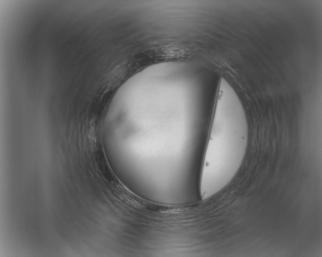 X0000060260516200510281012