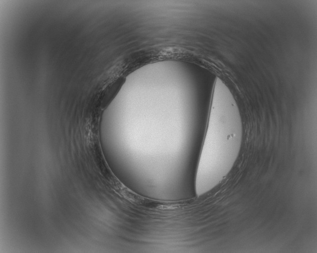 X0000060260520200510281012