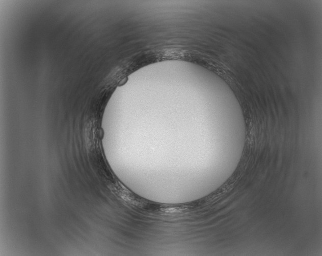 X0000060260522200510281012