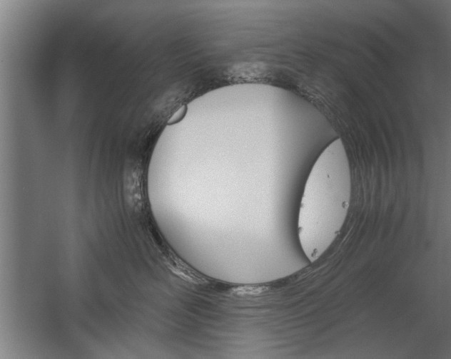 X0000060260526200510281012