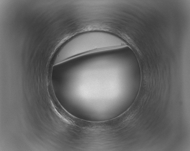 X0000060260530200510281011