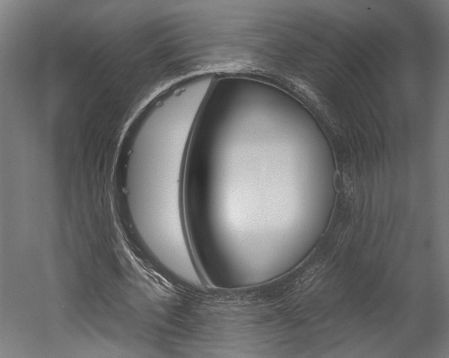 X0000060260532200510281011