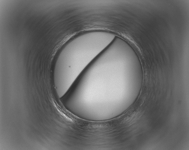 X0000060260533200510281011