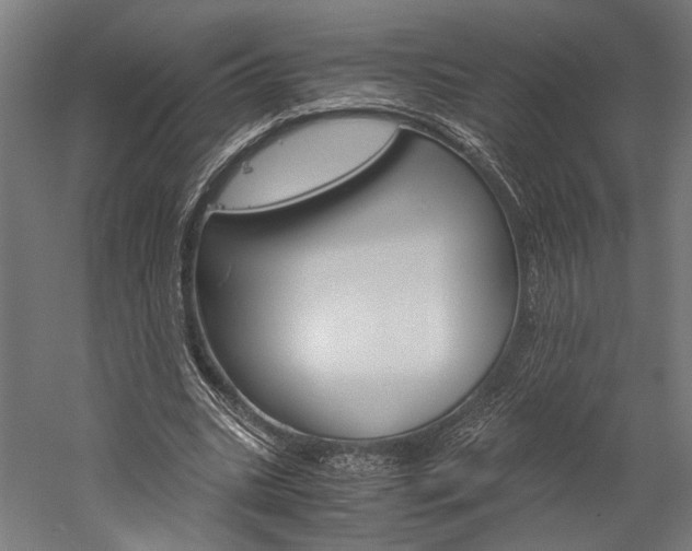 X0000060260535200510281011