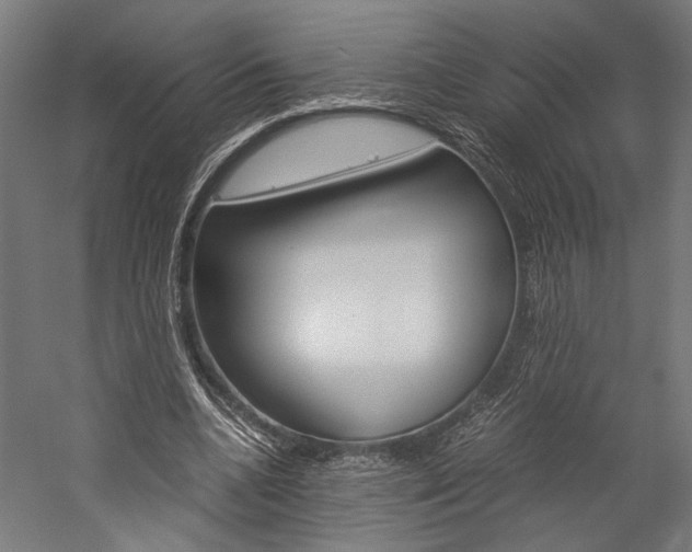 X0000060260536200510281011