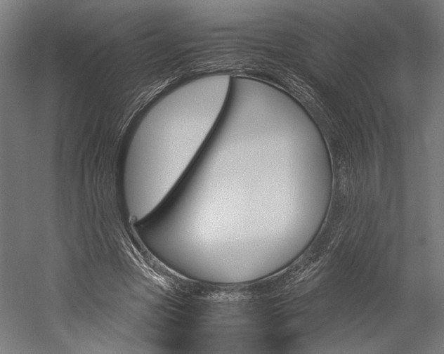 X0000060260537200510281011