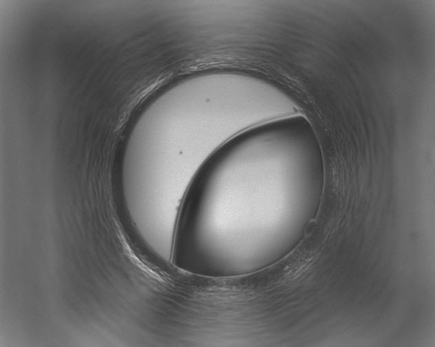 X0000060260538200510281011