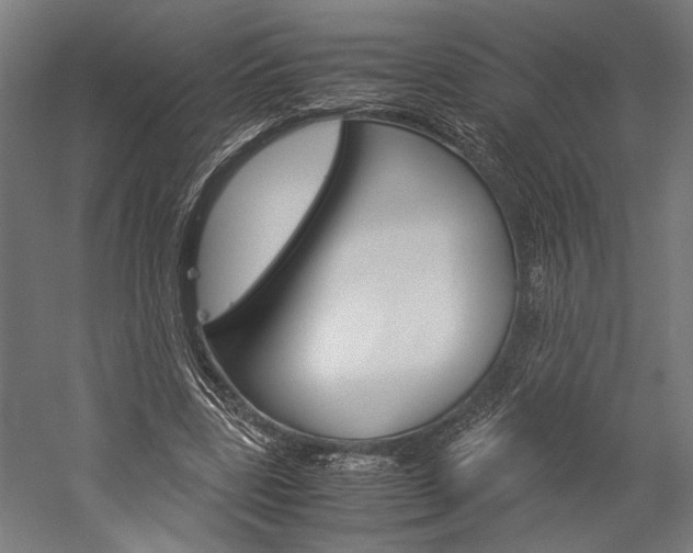 X0000060260539200510281011