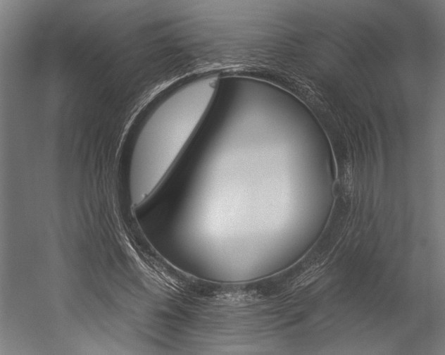 X0000060260540200510281011