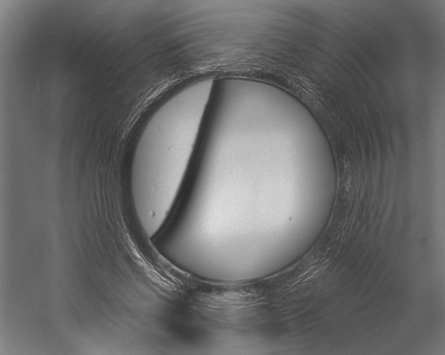 X0000060260542200510281011