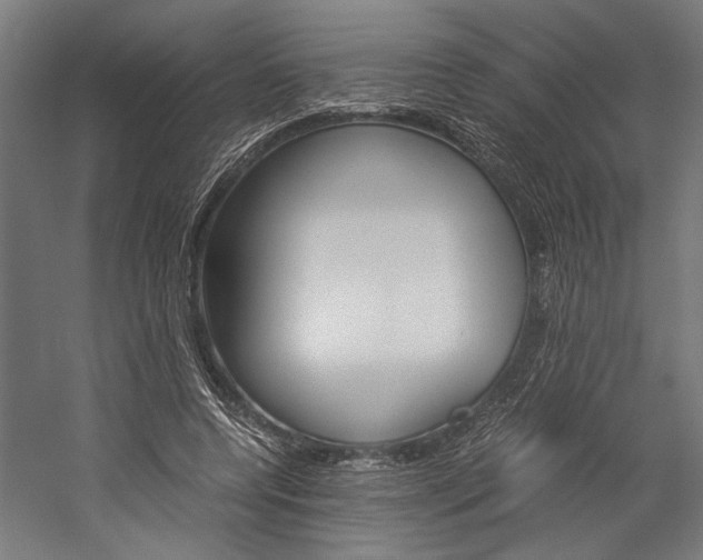 X0000060260544200510281011