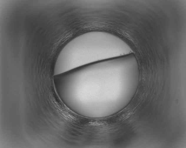 X0000060260545200510281011