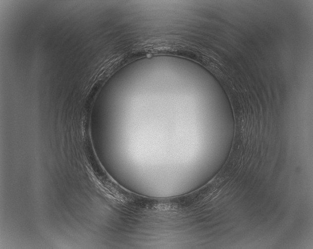 X0000060260546200510281011
