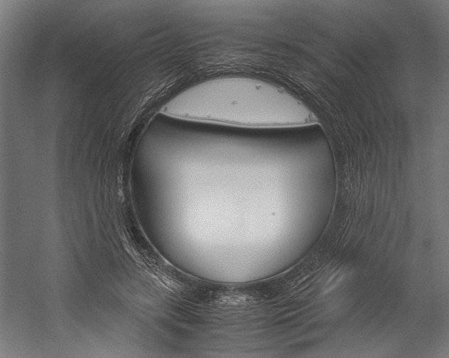 X0000060260547200510281011