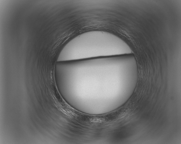 X0000060260549200510281011