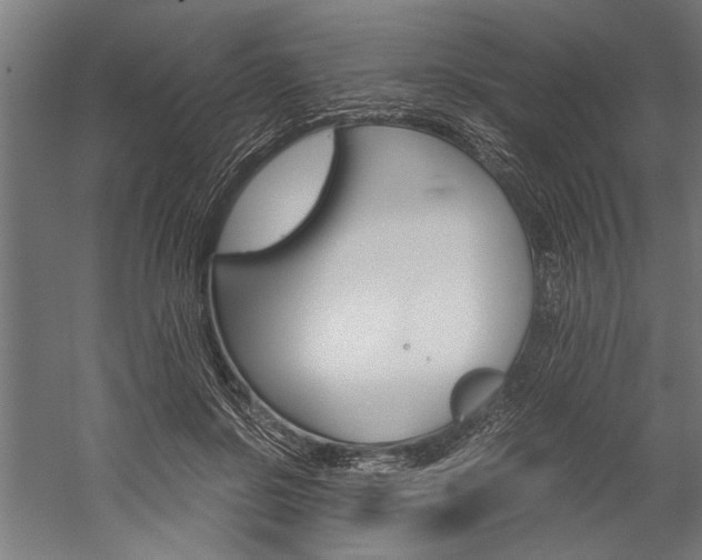 X0000060260550200510281011