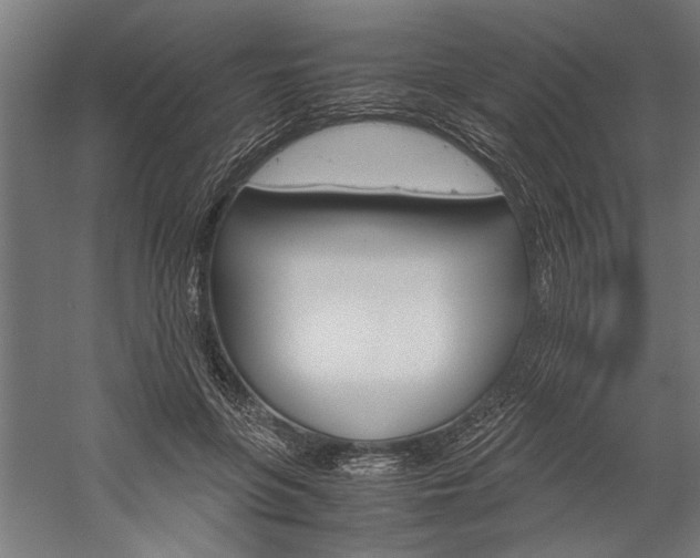 X0000060260551200510281011