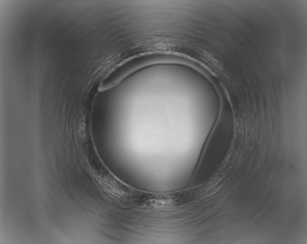 X0000060260552200510281011