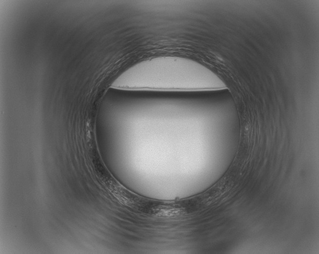 X0000060260555200510281012
