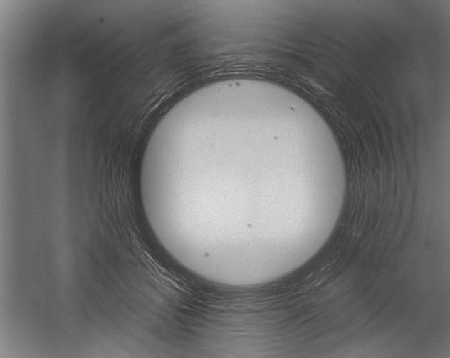 X0000060260556200510281012