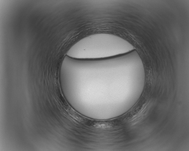 X0000060260557200510281012
