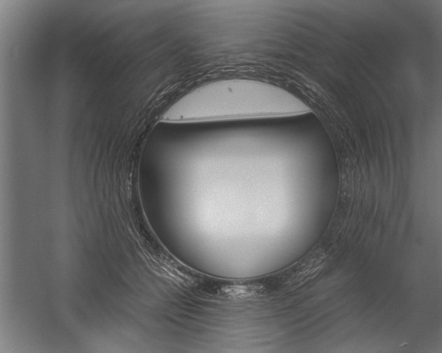 X0000060260558200510281012