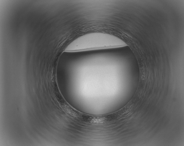 X0000060260560200510281012