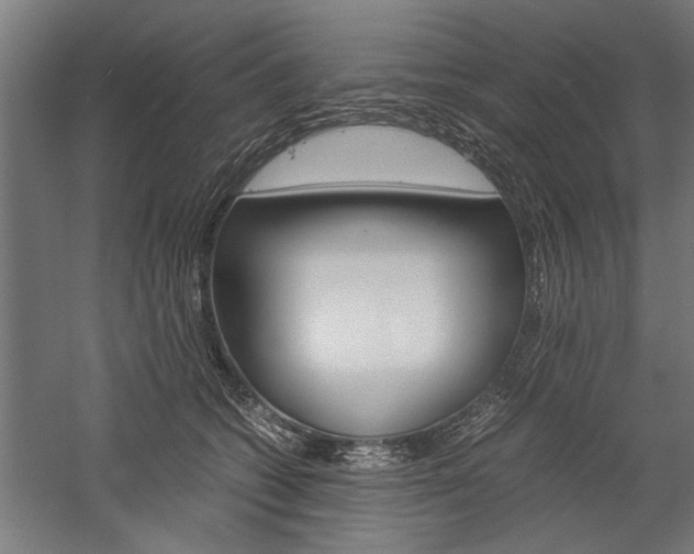 X0000060260562200510281012