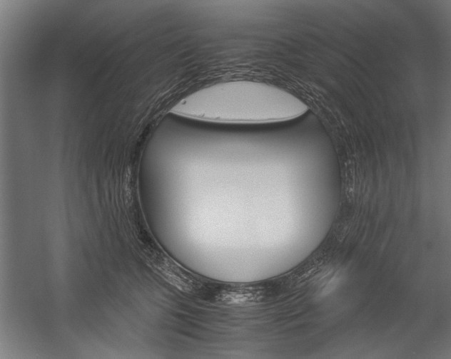 X0000060260563200510281012