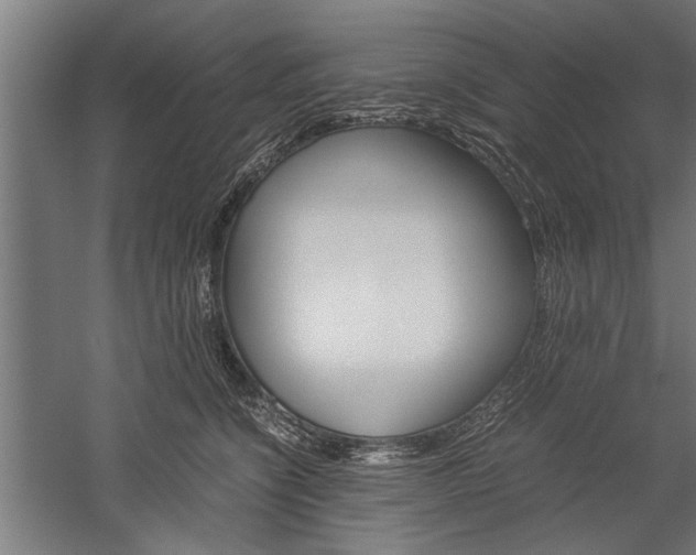 X0000060260564200510281012