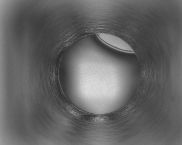 X0000060260566200510281012