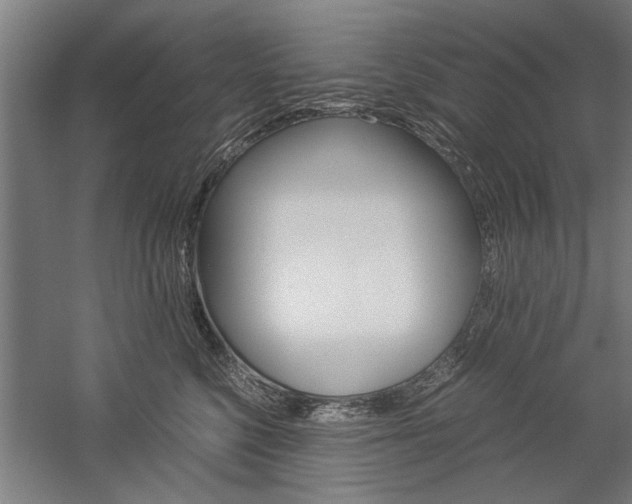 X0000060260568200510281012