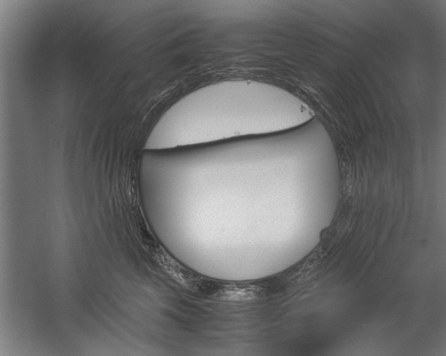 X0000060260569200510281012