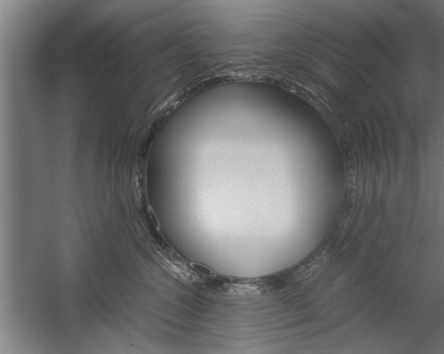 X0000060260572200510281012