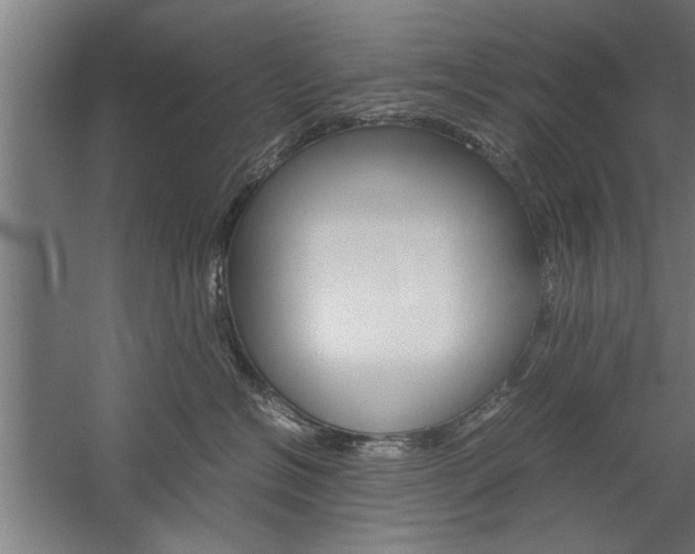 X0000060260574200510281012