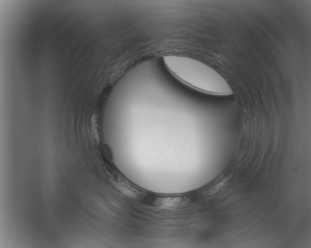 X0000060260575200510281012