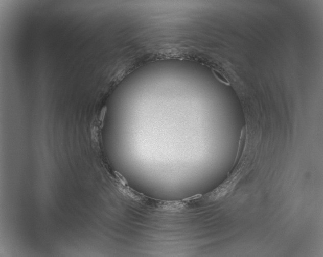 X0000060260576200510281012